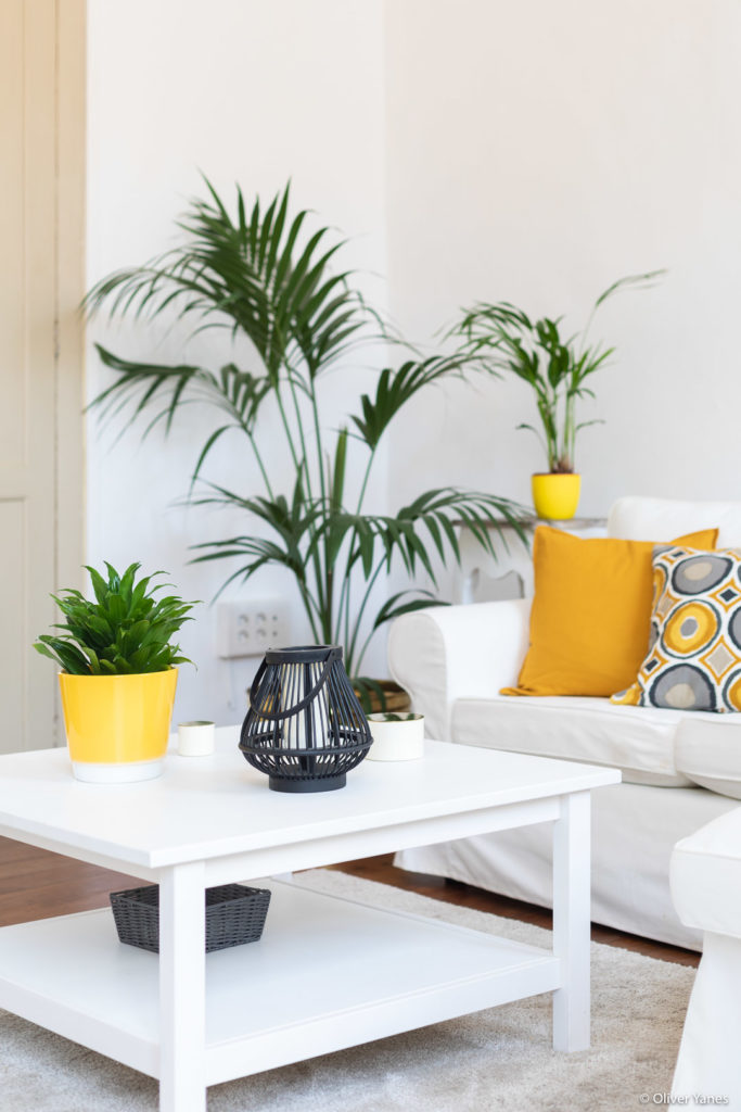 Decoración moderna en casa antigua de alquiler vacacional